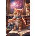 thumbnail image 1 of (K1256) Resina Con Gato Y Animal Lectura Diamantes 40*60CM, 1 of 9