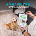 thumbnail image 5 of Nutramax Welactin Daily Omega-3 Supplement For Dogs, Skin & Coat Health Plus Overall Health, 60 Soft Chews, 5 of 10