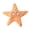 Orange, variant on mdesiwst Pet Toy Star Shape Soft Dog Toy with Built-in Rattle Paper Chew Toy Boredom Relief Bite Resistant Puppy Training Toy