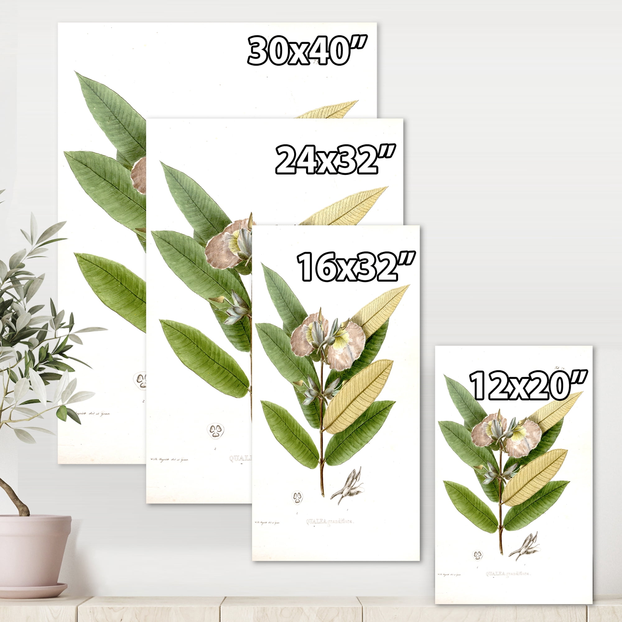 Designart ' Ancient Blossoming Flower II ' Traditional Canvas Wall Art Print
