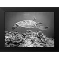 thumbnail image 2 of Deng, Yumian 18x14 Black Modern Framed Museum Art Print Titled - Sea Turtle At Sipadan, 2 of 5