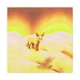 thumbnail image 4 of Fennec Fox in Moonlight - Canvas, 4 of 25