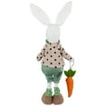 thumbnail image 5 of Northlight Polka Dot Boy Rabbit with Carrot Standing Easter Figure - 18", 5 of 5