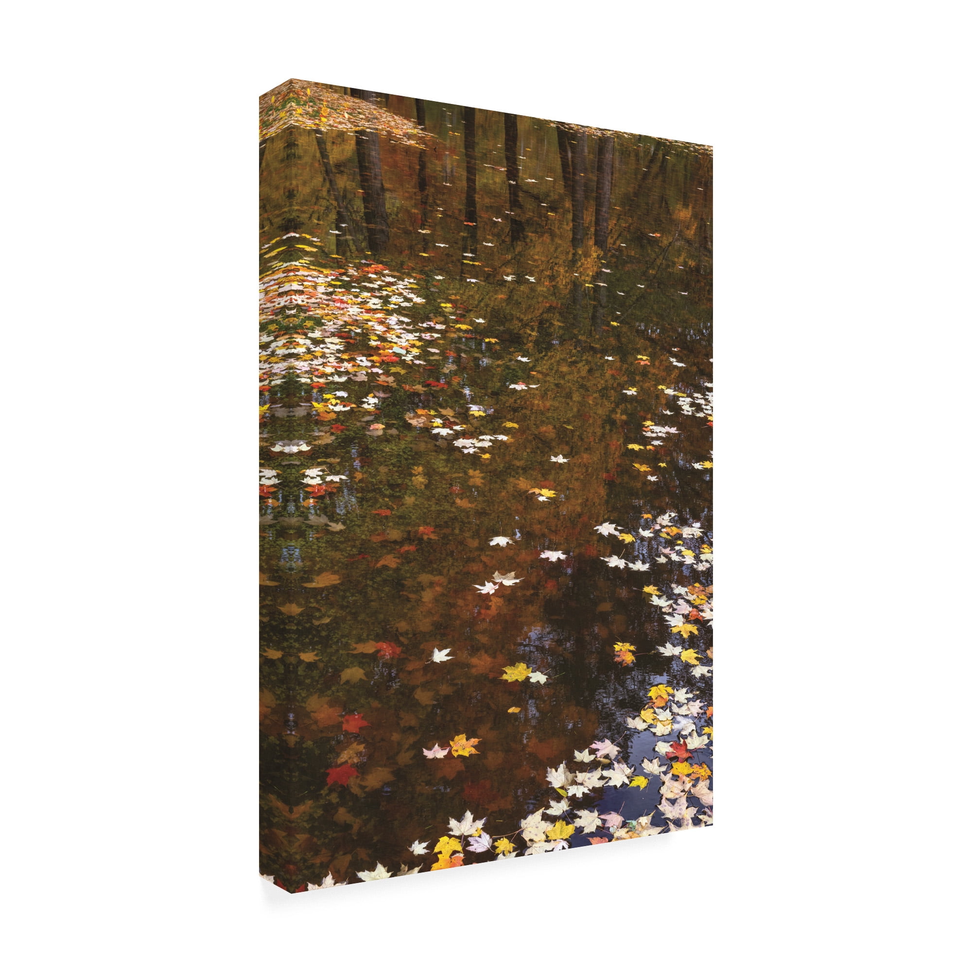 Trademark Fine Art 'November Reflections' Canvas Art by Kurt Shaffer Photographs