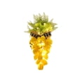 thumbnail image 2 of Zephyrn Easter Tulip Carrot Wreath Decoration, 21 Inch Spring Artificial Yellow Carrot Wreath Decor with Green Branches for Home Door Wall Mantel Window Decor, 2 of 5