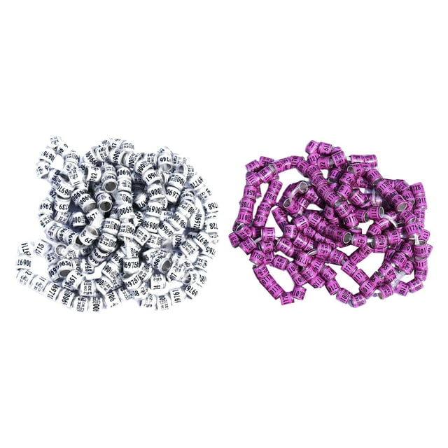 100 anillos de aluminio para patas de palomas, bandas de identificación numeradas de 8 mm para patas de paloma Blanco y Violeta
