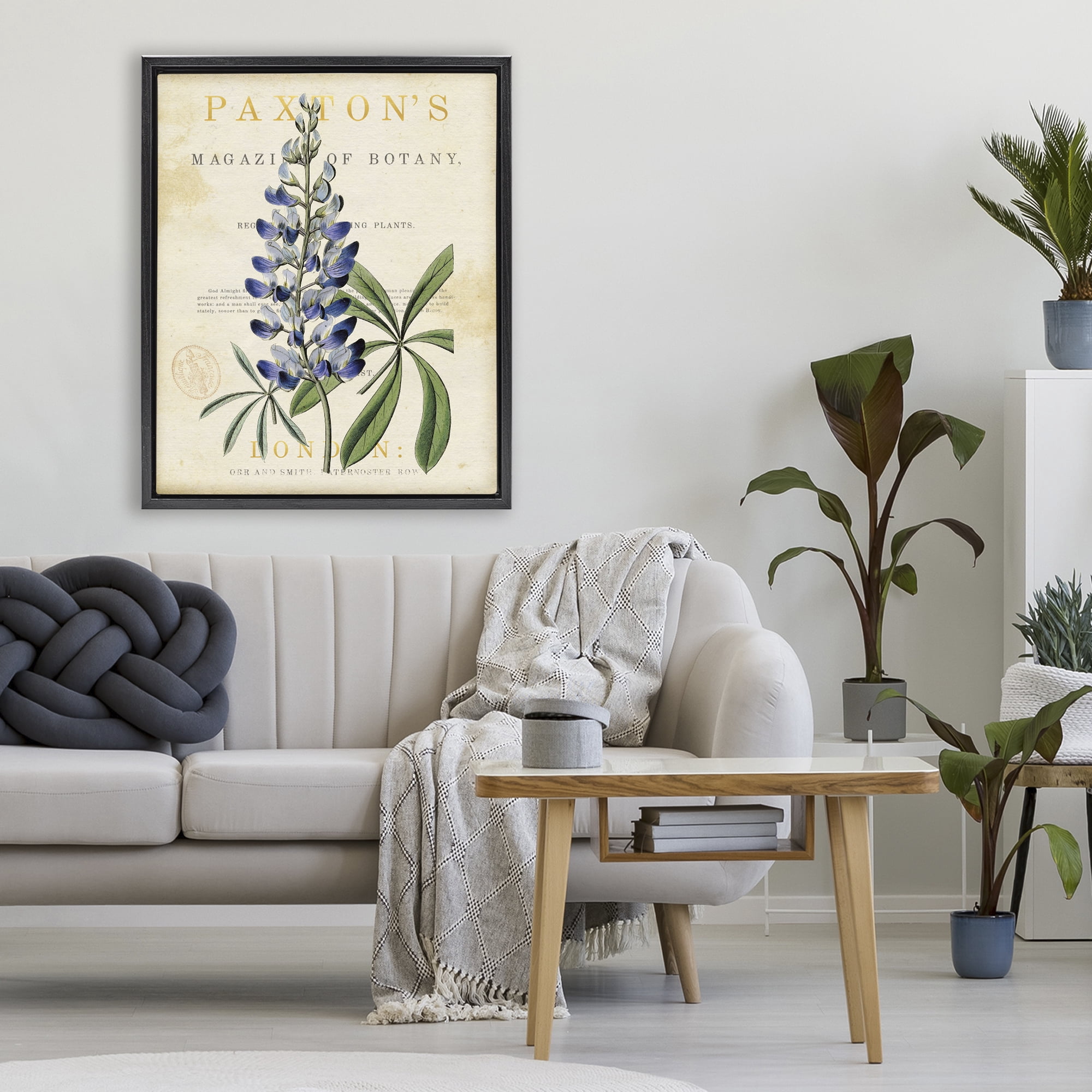 Stupell Industries Natural Botany Lupine Black Framed Floater Canvas Wall Art, design by Susan Arnot