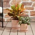 thumbnail image 3 of Better Homes & Gardens 8.2" x 8.2" x 8" Round Red Terracotta Terry Plant Planter, 3 of 9