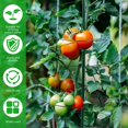 thumbnail image 4 of Spiral Plant Support Stretchable Vegetable Support Stakes Rustproof Tomato Grow Support Cage Ring Extendable Climbing Plants Garden Support Stakes for Garden Plant Climbing Growing, 4 of 10