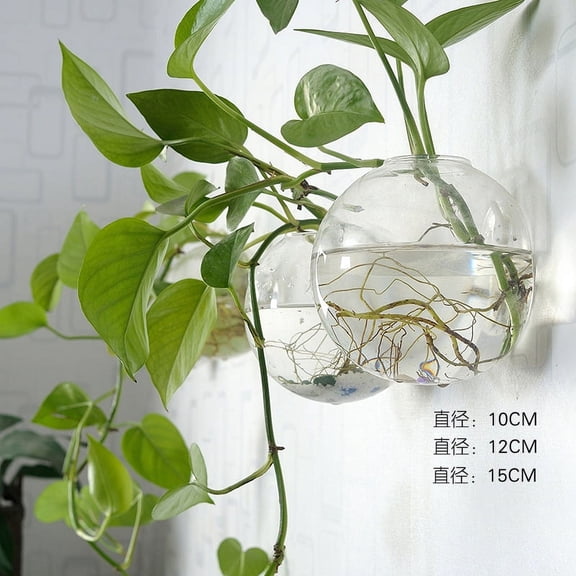 Unique Wall-Mounted Glass Hydroponic Vase for Home Decor, Hanging Plant Holder with Modern Design