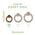thumbnail image 4 of Juguete Masticable Benebone Tocino Real Duradero pequeño para Perros masticables agresivos, 4 of 6