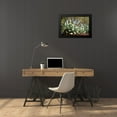 thumbnail image 4 of Berzel, Erin 24x17 Black Modern Framed Museum Art Print Titled - Agave II, 4 of 5
