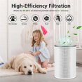 thumbnail image 2 of Case Pack H13 True HEPA Filter, Compatible with Afloia KILO, KILOPLUS, KILOPRO, MIRO, MIRO PRO and MORENTO MR-Kilo Ai, 2 of 5