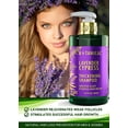 thumbnail image 3 of Botanical Hair Growth Lavender Shampoo with Saw Palmetto for Hair Loss and Hair Thinning Prevention Scalp Stimulating Natural Thickening Shampoo Regrowth Products For Women & Men 10.2 Fl Oz, 3 of 9