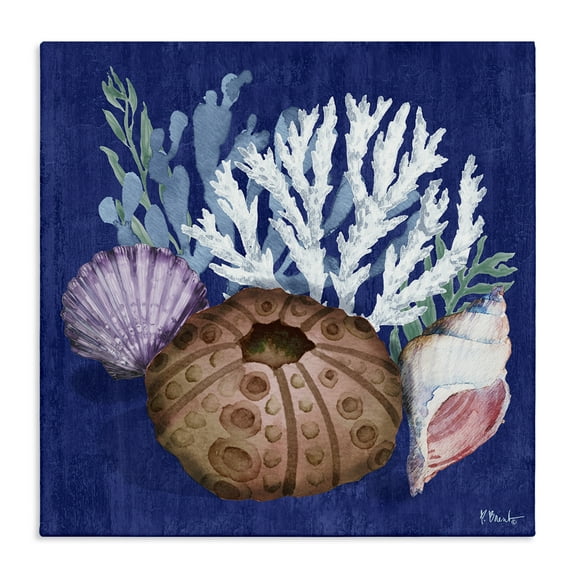 Stupell Industries Urchin & Coral Still Life Coastal Painting Gallery Wrapped Canvas Art Print Wall Art, 17 x 17