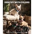 thumbnail image 5 of Dog Collars for Small Dogs, Reflective Nylon Pet Collar with Quick Release Buckle, Small Dog Collar for Boys, 5 of 8
