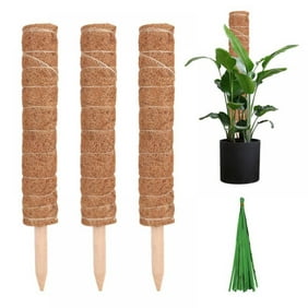 12 Inch Moss Pole -3 Coco Coir Poles - Support Indoor Plants to Grow Upwards - Use Plant Support Poles Individually or Together