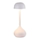 thumbnail image 1 of Lámpara de mesa, lámpara de escritorio de metal, luz de noche recargable por USB, lámpara de noche para exteriores, restaurante, patio, comedor, sala Blanco, 1 of 9