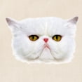 thumbnail image 2 of CafePress - Grumpy Cat Tote Bag - Unisex Canvas Tote Bag, Beige, 1-Piece, 2 of 6