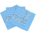 thumbnail image 1 of 3 Pieces Bandana Headscarf Neckerchief Nicki Scarf Biker Cloth Motorcycle Cloth Different Colors Paisley Pattern, Light Blue, 1 of 4