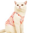 thumbnail image 6 of Sleeveless Ruffle Hem Pet Dress - Elastic Trim Cat Dress - Floral Printing Summer Small Dog Dress - Pet Clothes, 6 of 8