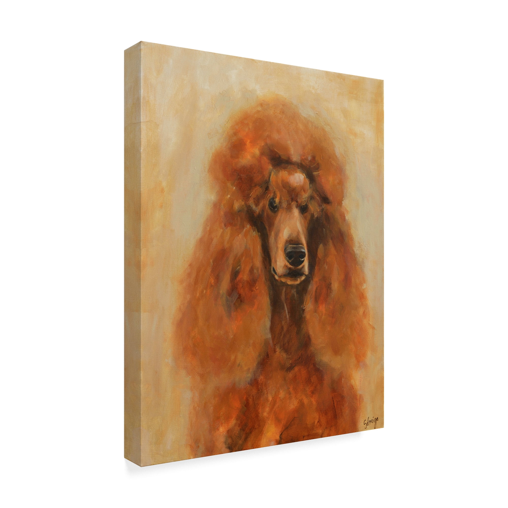 Trademark Fine Art 'Apricot Poodle' Canvas Art by Solveiga