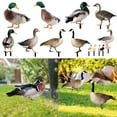 thumbnail image 2 of OUSITAID Duck Decor Realistic Life-like Ornamental Double-sided Printing Rustic Acrylic Garden Poultry Statue for Yard, 2 of 8