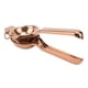 thumbnail image 4 of Exprimidor de limón de acero inoxidable, ergonómico, mango ultralargo, exprimidor de mano con anillo de elevación para cocina, oro rosa, 4 of 14