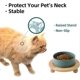 thumbnail image 4 of Ceramic Elevated Cat Food and Water Bowl, Kitty Bowl, Raised Cat Dish, Cat Feeder (1 x Dark Green + Stand), 4 of 4