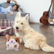 thumbnail image 5 of Plush Doll Active Moving Pet Plush Toy, Interactive Dog Toy, Talking Movable Dog Toy, Electronic Dog Toy, Bounce Boredom Toy For Cats And Dogs, 5 of 6