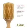 thumbnail image 6 of Kent OS11 Satinwood Military Club Hair Brush & Beard Brush &ndash; Soft White Boar Bristles for Fine or Thinning Hair, Men's Grooming, and Beard Care, 6 of 6