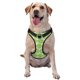 thumbnail image 1 of Fotbe Green Lemon Slices Arnés para Perro con Estampado –Chaleco Ajustable Acolchado con Asa de Control para Perros Grandes-Medium, 1 of 6