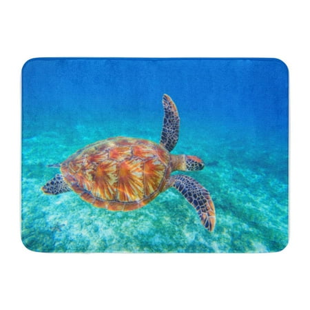 Reef Life Bath SIDONKU Sea Turtle Swims in Water Olive Green Closeup Wildlife of Tropical Coral Reef Doormat Floor Rug Bath Mat 23.6x15.7 inch ()