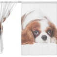 thumbnail image 3 of Coolnut Cavalier King Charles Spaniel Dog Semi Sheer Curtains Window Voile Drapes Panels Treatment-55x78in for Living Room Bedroom Kids Room, 2 Pieces, 3 of 4