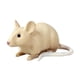 thumbnail image 4 of Ratones de juguete modelo rata falsa pintada a mano figuras de animales de simulación educativa para Estilo A, 4 of 9