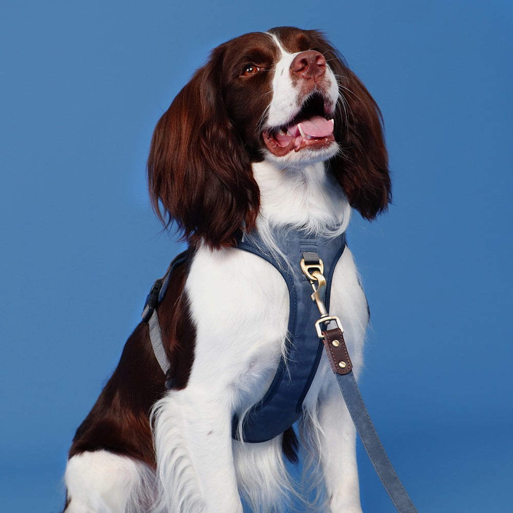 Didog No Pull PU Leather Dog Harness Adjustable Pet Sport Vest with Handle Quick Fit