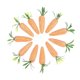 thumbnail image 3 of 24 Pcs Easter Decorative Artificial Glitter Orange Foam Carrot Ornaments for Party Home Garden Use, Odorless Craft Supplies, 3 of 3