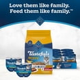 thumbnail image 5 of Blue Buffalo Tastefuls Irresistible Gravy Indoor Adult Dry Cat Food, Salmon, 5lb Bag, 5 of 11