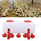 thumbnail image 1 of Dispensador De Bebedero Para Pollos De 10 Litros, 10 Tazas De Agua Para Pollos, Bebedero Para Pollos Completamente Automático, De Riego Para Pollos De Gran Capacidad Para Pollos,, 1 of 7