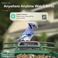 thumbnail image 2 of Comedero para aves onlyfly con cámara 2K y Wi‑Fi, alimentado por energía solar, 2 of 7