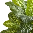 thumbnail image 2 of 34” Dieffenbachia Artificial Plant (Real Touch), 2 of 5