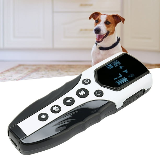 Dog collar distance control online