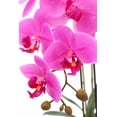 thumbnail image 3 of Fake purple orchid flower arrangement| Amethyst Faux Floral Arrangement | 23” tall floral arrangement | Purple orchids in white Vase., 3 of 5