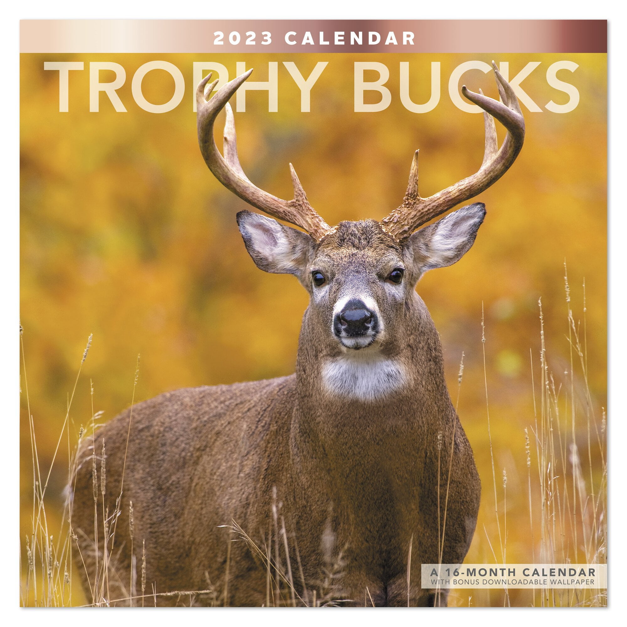 Trophy Bucks 2023 Monthly Wall Calendar 12 x 12 - Wall Calendars