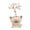 3, variant on Crystal Stone Tree Bonsais Decorations Crystal Stone Money Tree Wealth and Luck Feng Shuis Ornament for Home Decors