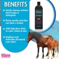 thumbnail image 4 of Eqyss Grooming Products Premier Natural Botanical Shampoo, 32 Oz, 4 of 8