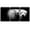 B35-2107-03-EVA032, variant on PixonSign Canvas Print Wall Art Set Pinhole Style Horse Portrait Animals Wildlife Photography Realism Rustic Closeup Relax/Calm Dark Black and White for Living Room, Bedroom, Office - 24"x36"x3