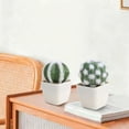 thumbnail image 6 of Mini Artificial Cactus Plants in Pots 1 Pc Potted Faux Succulents in Pots Fake Potted Plants Cactus Decor Small Artificial Plant for Home Decor Indoor Office Desk Tabletop Shelf, 1.97x3.54 Inch, A, 6 of 6