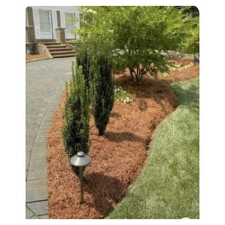 Crushed Pine Needle Mulch - Mulch Manufacturing