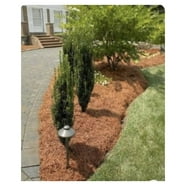 Premium Long Needle | Pine Straw Mulch | 160 Sqft - Walmart.com